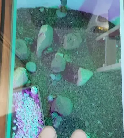 Apartment Casa Roberta Fuego *